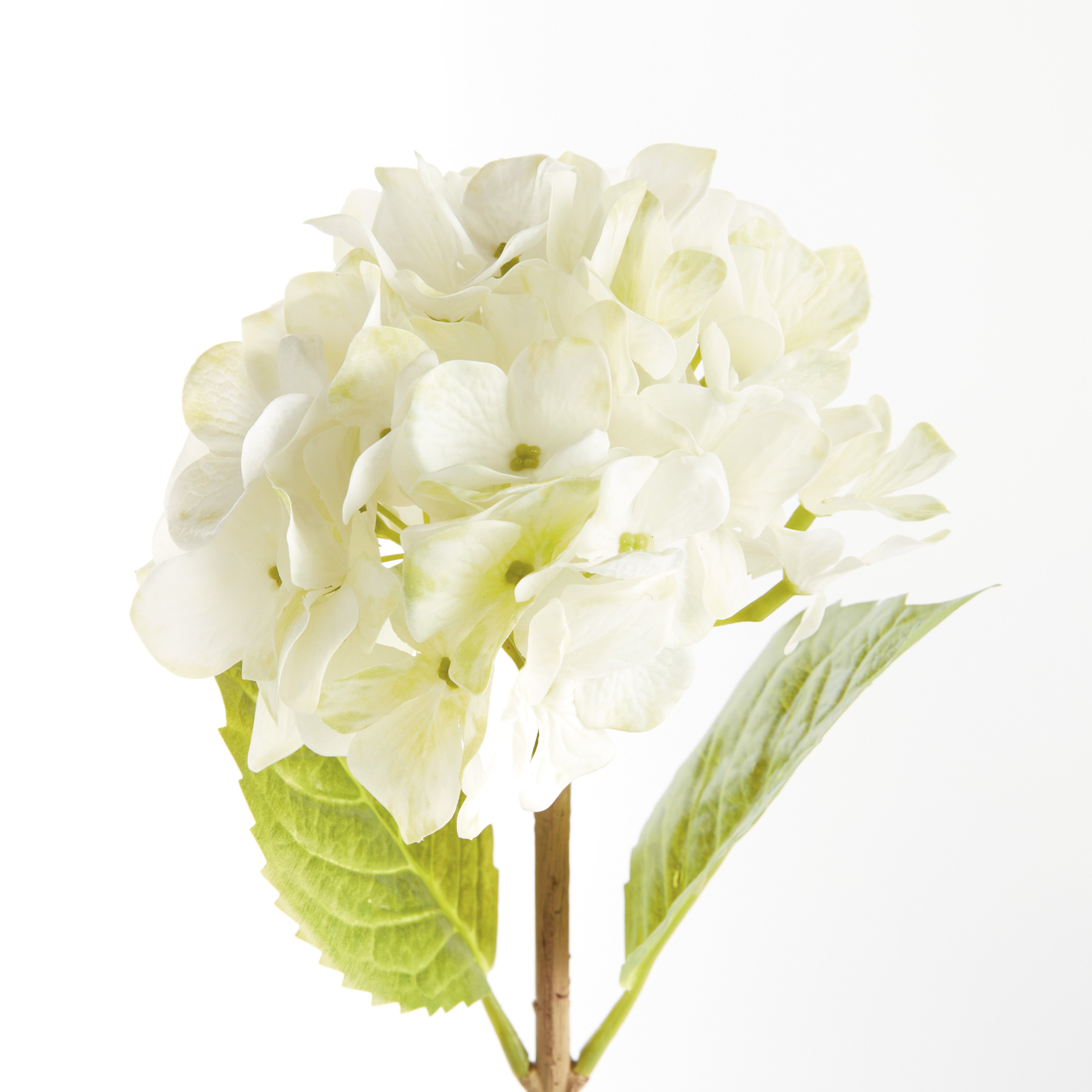 Hydrangea Stems 18", Set Of 6 - View 3