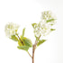 Hydrangea Branches 31", Set Of 2 - View 2