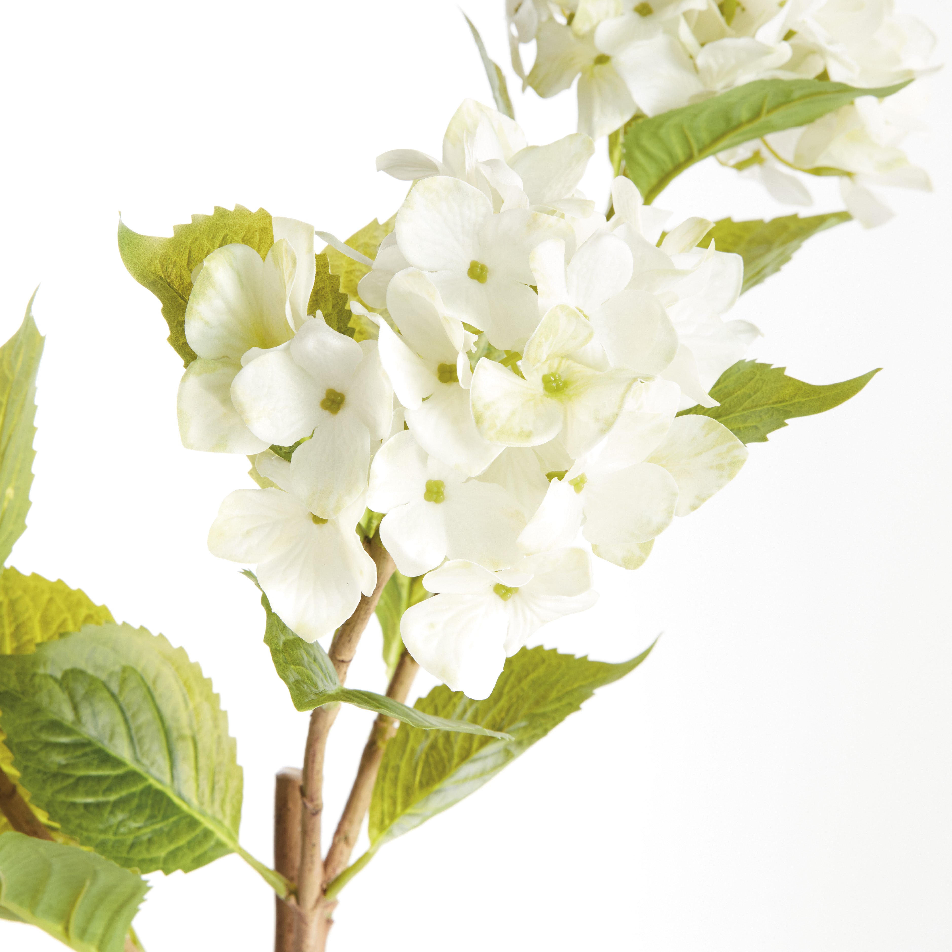 Hydrangea Branches 31", Set Of 2 - View 3
