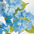 Hydrangea Drop-In 18" - View 2