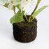 Hydrangea Drop-In 18" - View 3