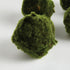 Moss Orbs 4" St/6 - View 3