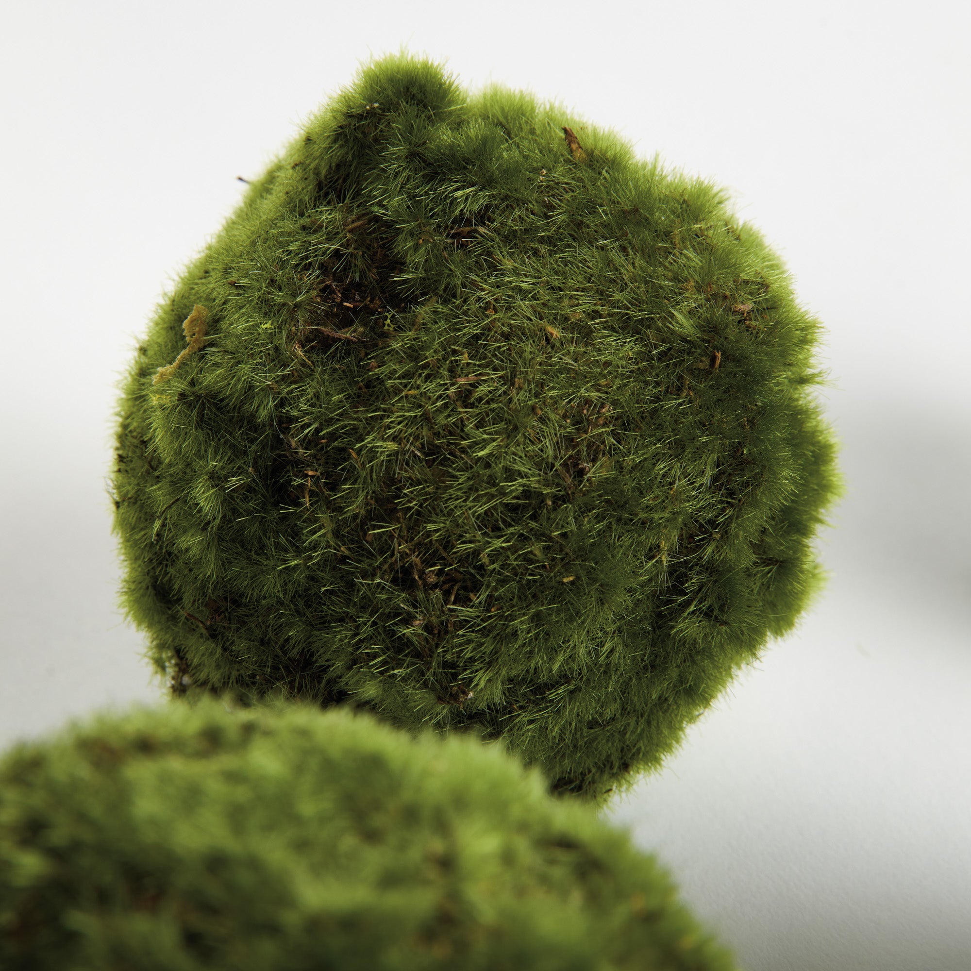 Moss Orbs 4" St/6 - View 5