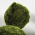 Moss Orbs 4" St/6 - View 5