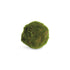 Moss Orbs 4" St/6