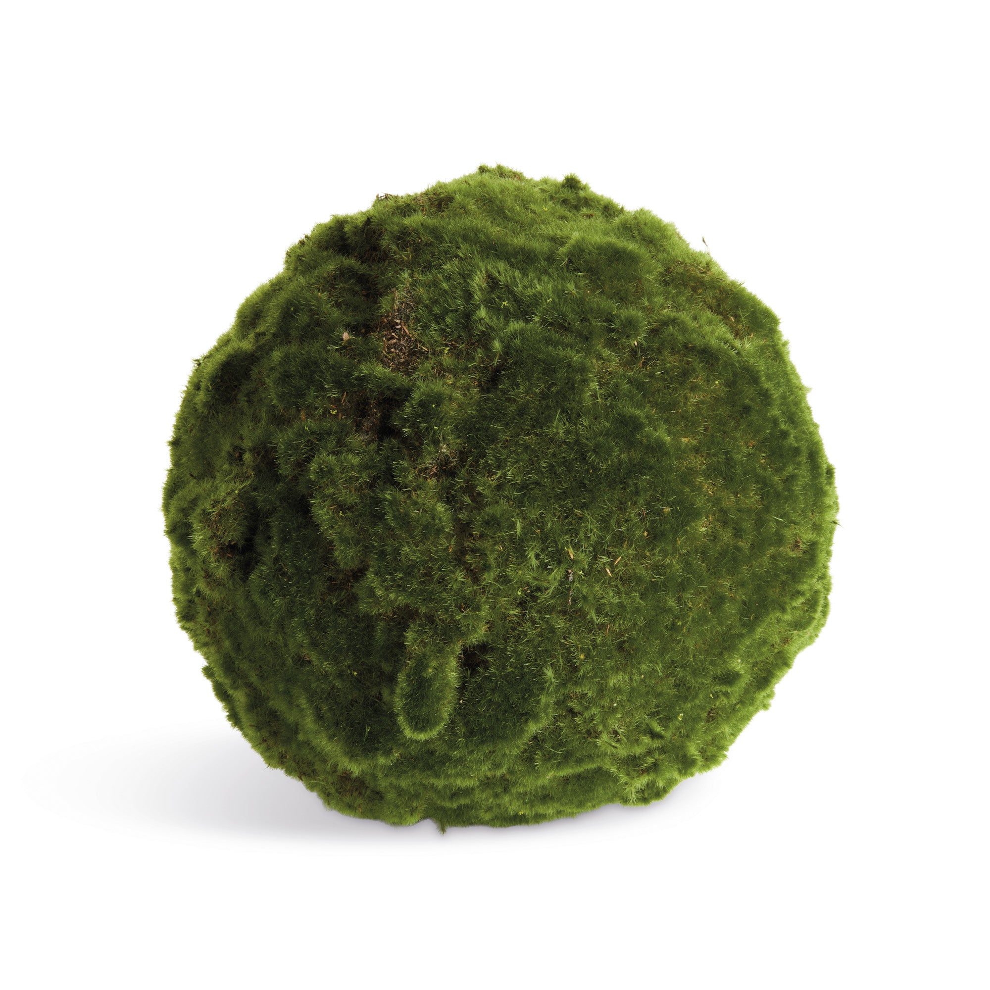 Moss Orbs 11 inch, Set Of 2 by Napa Home and Garden - front view