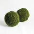 Moss Orbs, Set Of 2 - alternate view 1