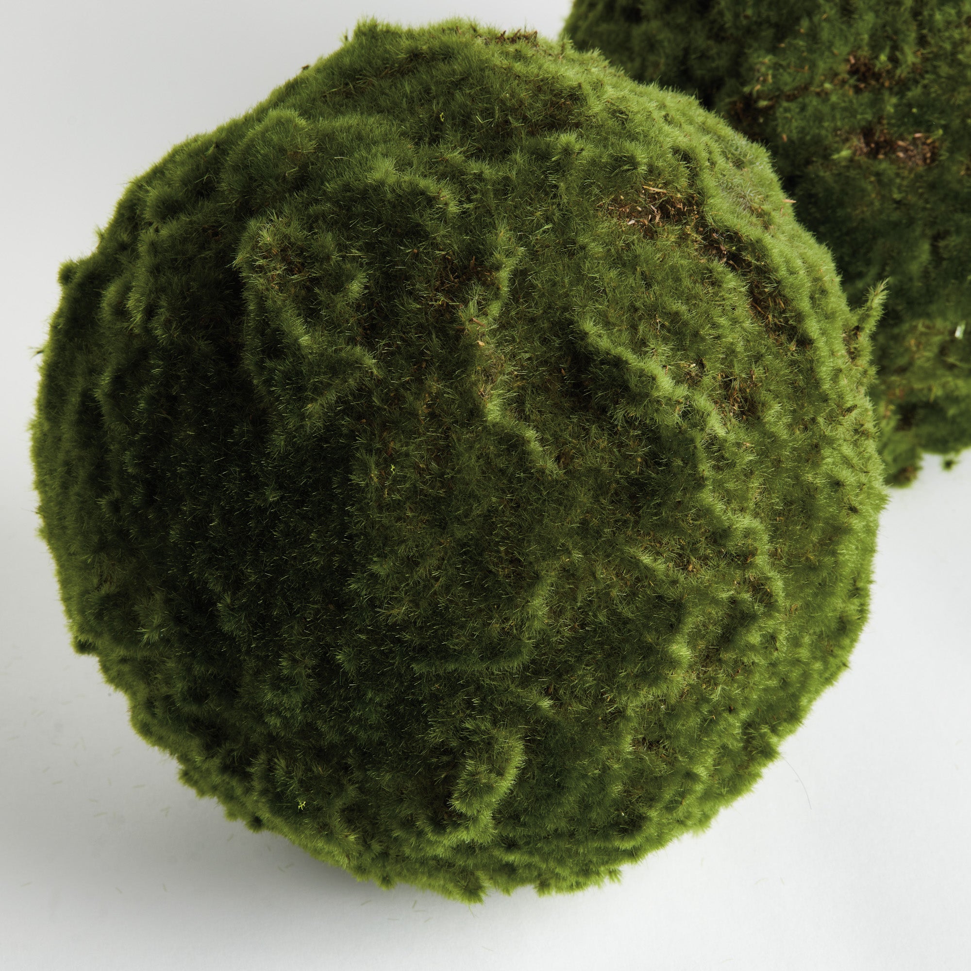 Moss Orbs, Set Of 2 - alternate view 2