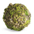 Mossy Lichen Orbs 8" St/2