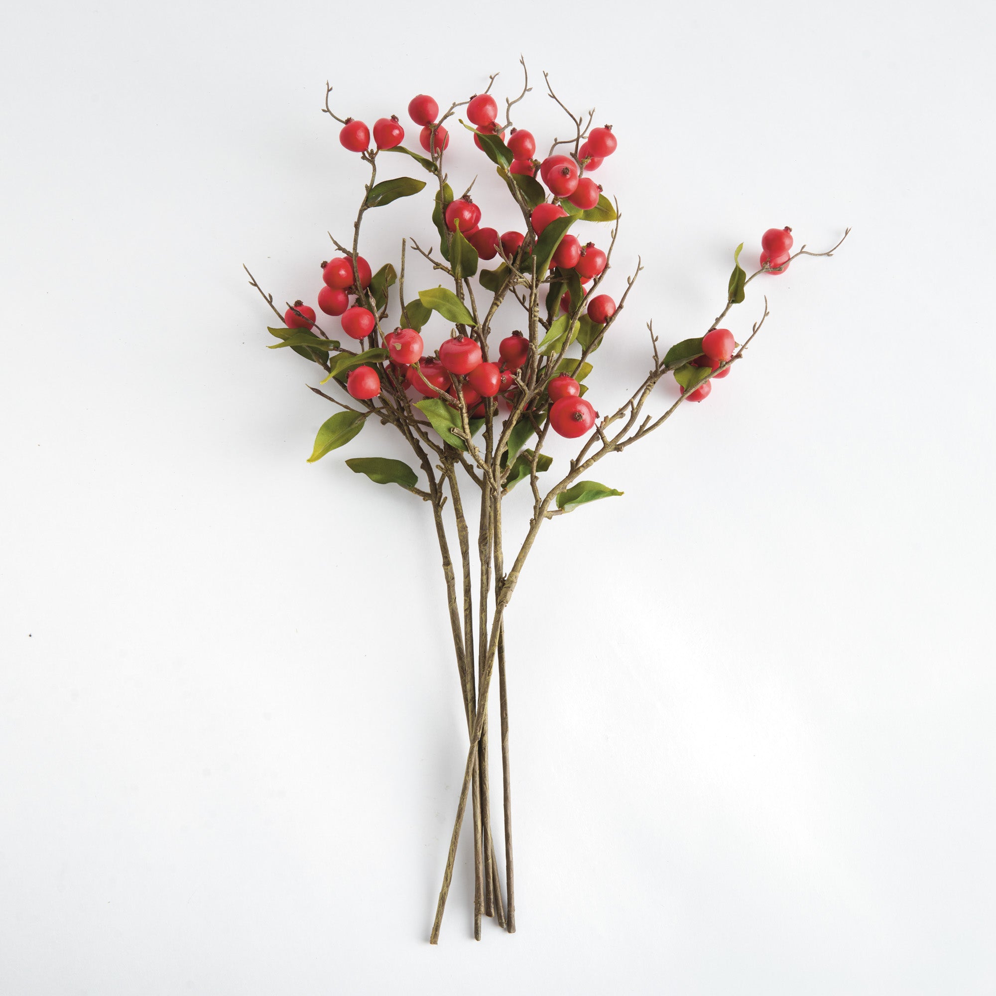 Crabapple Stems St/6 - View 2