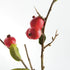 Crabapple Stems St/6 - View 3