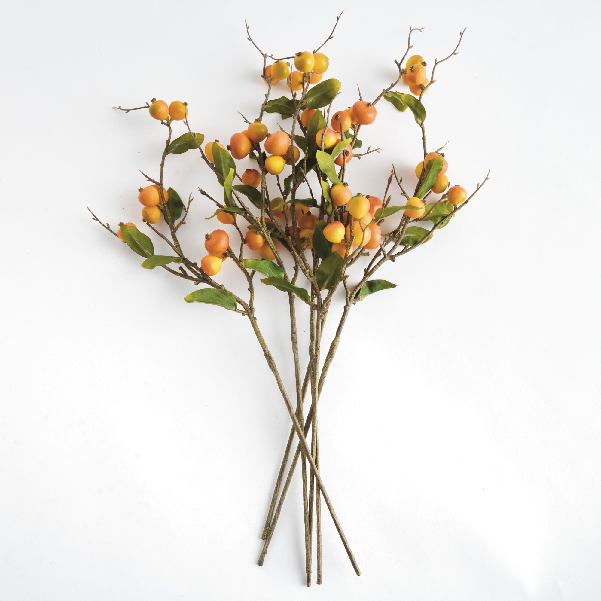 Crabapple Stems St/6 - View 2