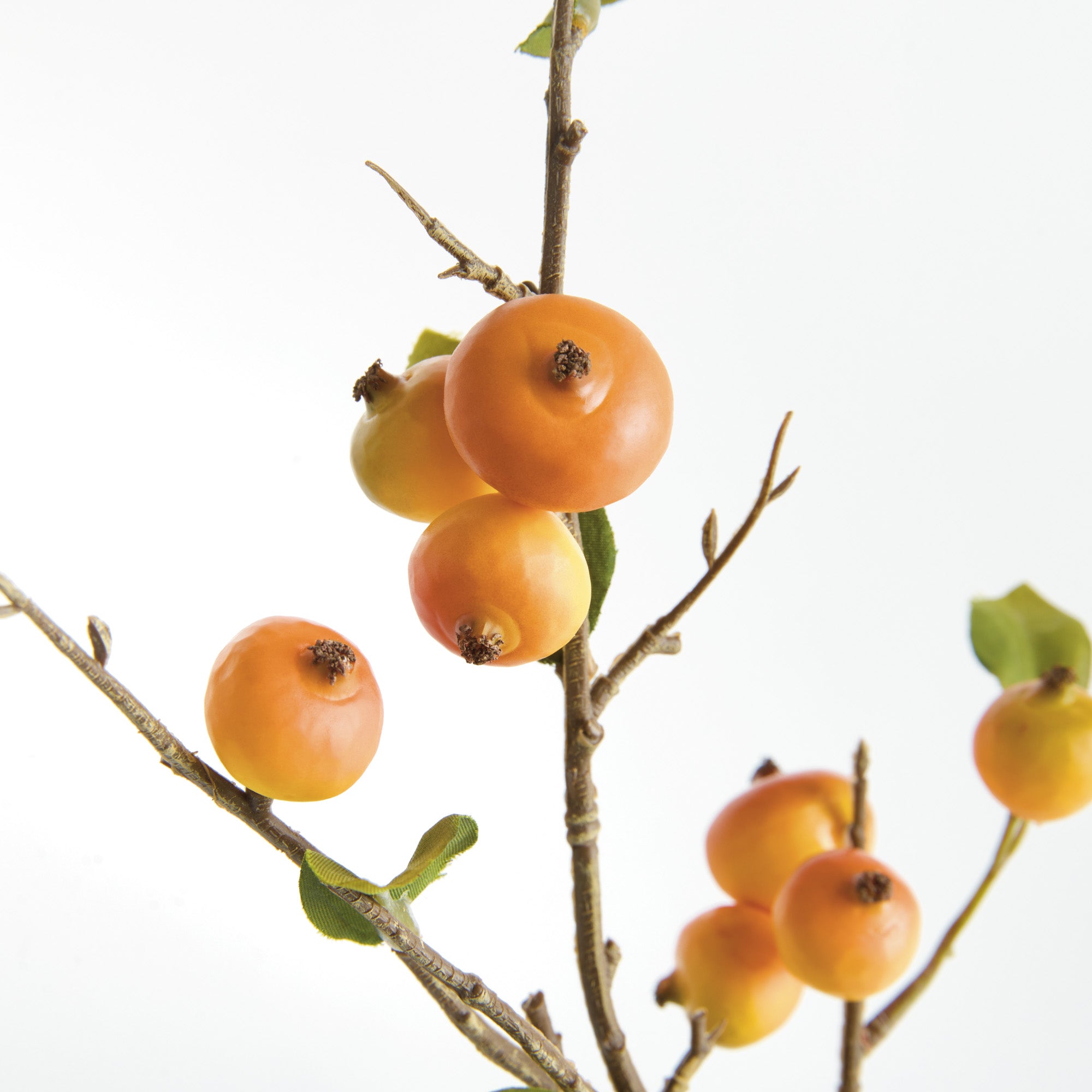 Crabapple Stems St/6 - View 3