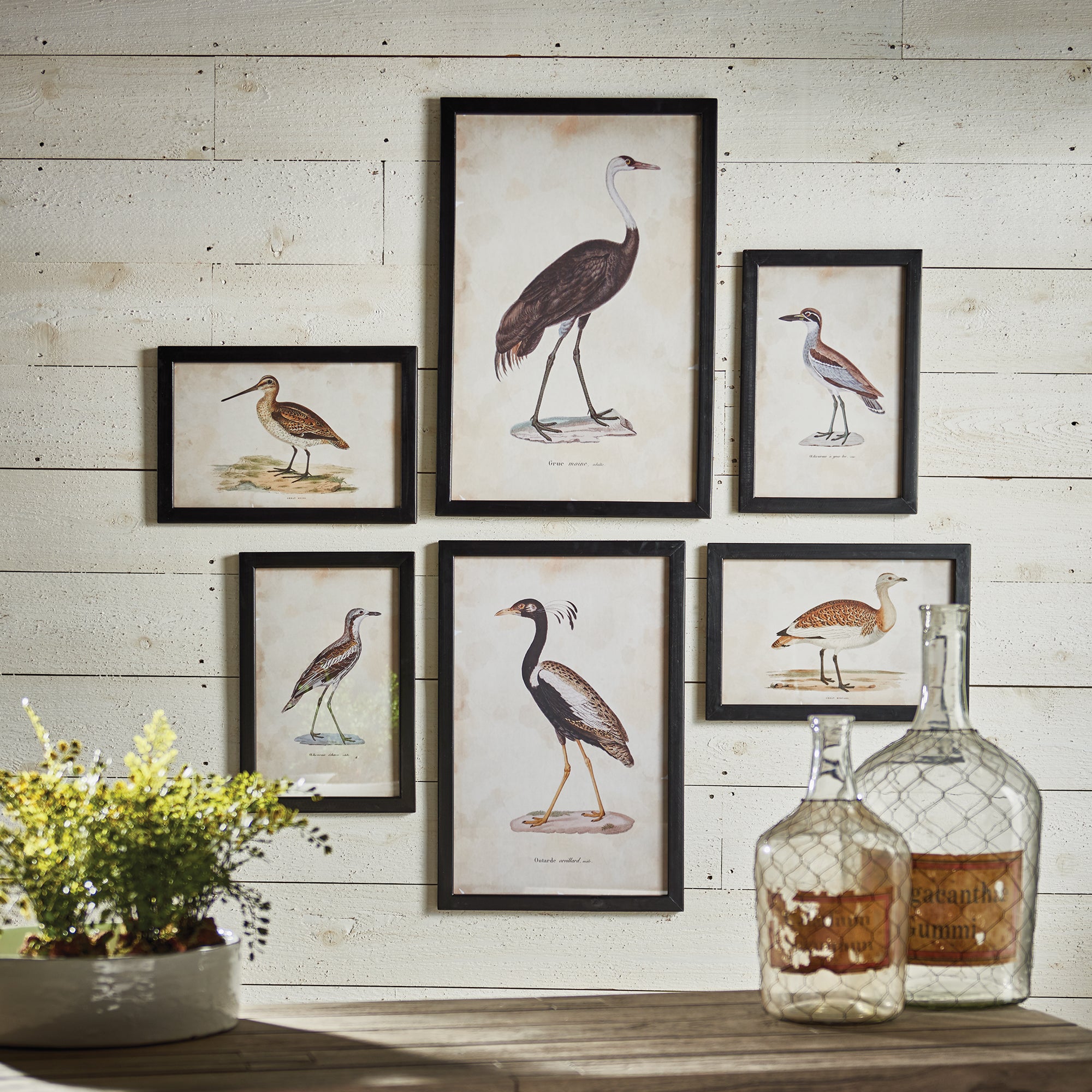Waterfowl Gallery, Set Of 6 - View 3