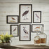 WATERFOWL GALLERY, SET OF 6 - view 3
