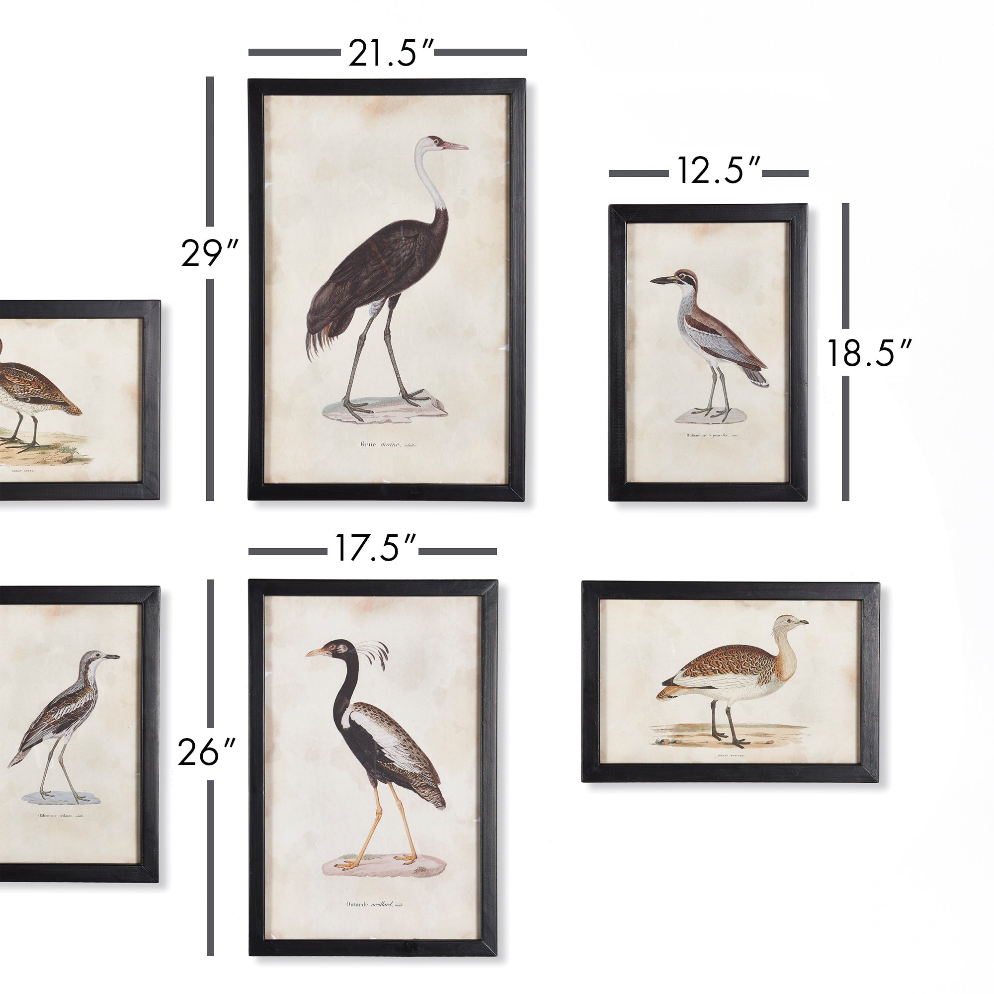 Waterfowl Gallery, Set Of 6 - View 2