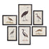 WATERFOWL GALLERY, SET OF 6