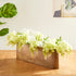Joss Vase - View 4