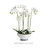 Sea Breeze Decorative Bowl - View 7