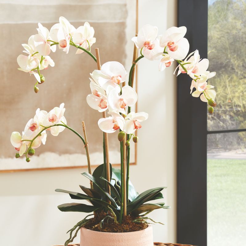 PHALAENOPSIS ORCHID DROP-IN 30" BY NAPA HOME & GARDEN