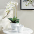 MARIBELLA CACHEPOT SET OF 2 BY NAPA HOME & GARDEN - A. Dodson's