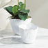 MARIBELLA CACHEPOT SET OF 2 BY NAPA HOME & GARDEN - A. Dodson's