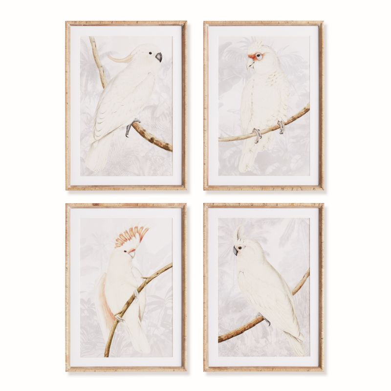 WHITE COCKATOO PRINTS SET OF 4 BY NAPA HOME & GARDEN - A. Dodson's