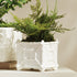 Chinoiserie Cachepot Small - View 5