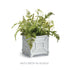 Chinoiserie Cachepot Small - View 6