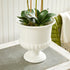 MIRABELLE DECORATIVE PEDESTAL BOWL SMALL - view 6