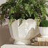 MIRABELLE FLUTED CACHEPOT LARGE - view 4