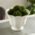 MIRABELLE FLUTED CACHEPOT LARGE - view 5