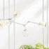 Daniella Globe Chandelier - View 4