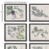Berry Branch Botanical Study, Set Of 6 - View 2