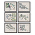 BERRY BRANCH BOTANICAL STUDY, SET OF 6