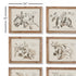 FRUIT BEARING BRANCH ILLUSTRATIONS, SET OF 6 - view 2