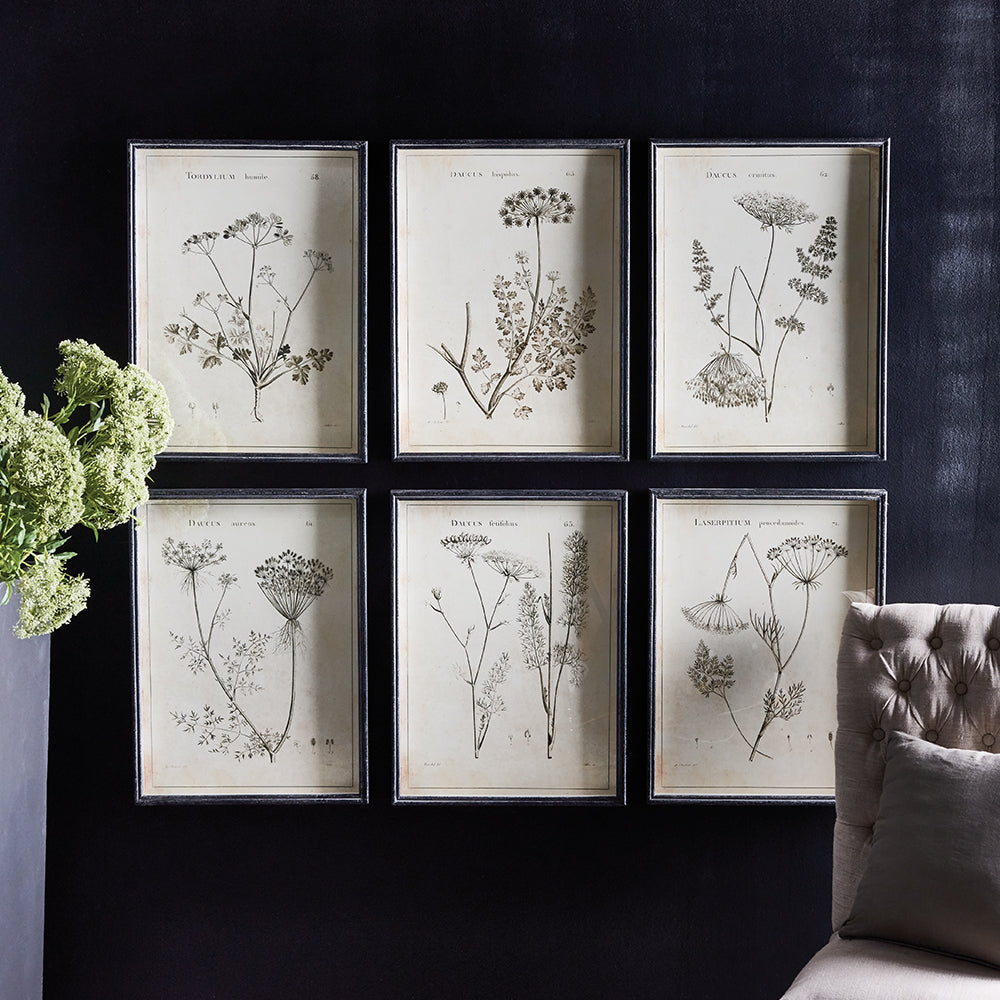 WILDFLOWER STUDY, SET OF 6 - view 3