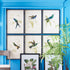 Hummingbird Prints, Set Of 6 - View 3