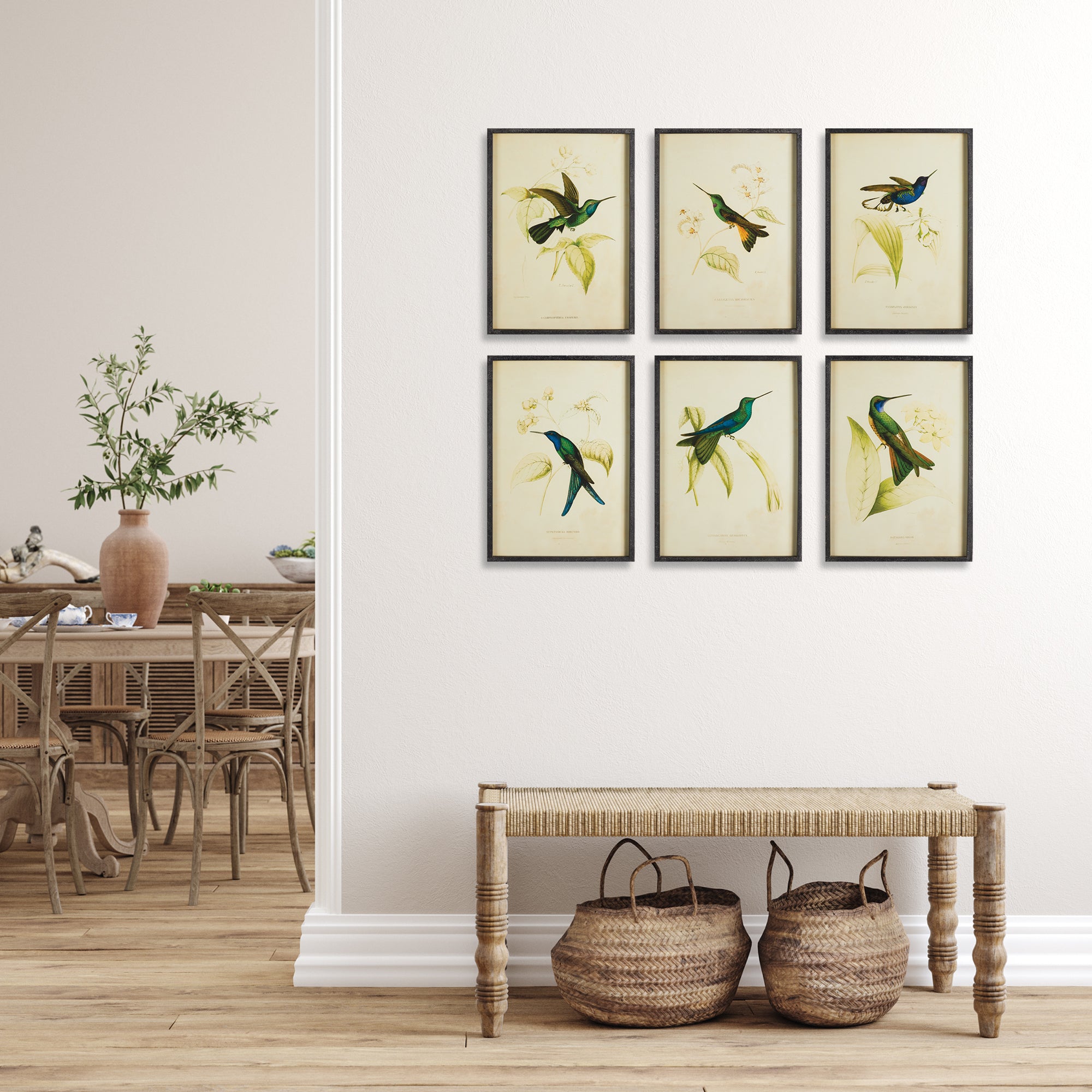 HUMMINGBIRD PRINTS, SET OF 6 - view 4