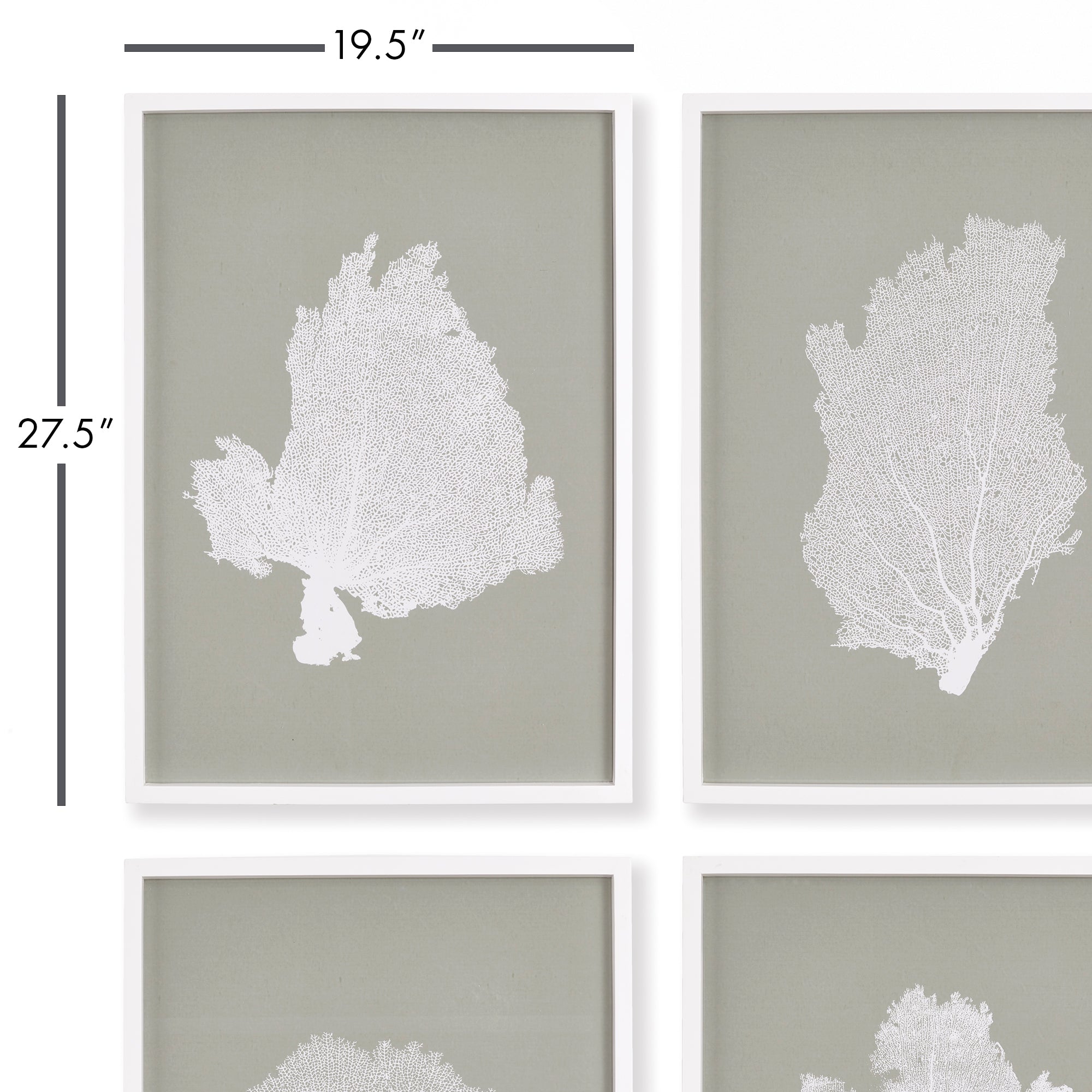 Coral Fans Study, Set Of 4 - View 2