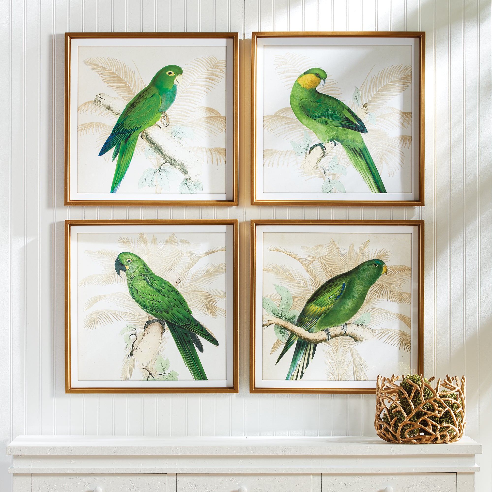 Green Parrots Study, Set Of 4 - View 3