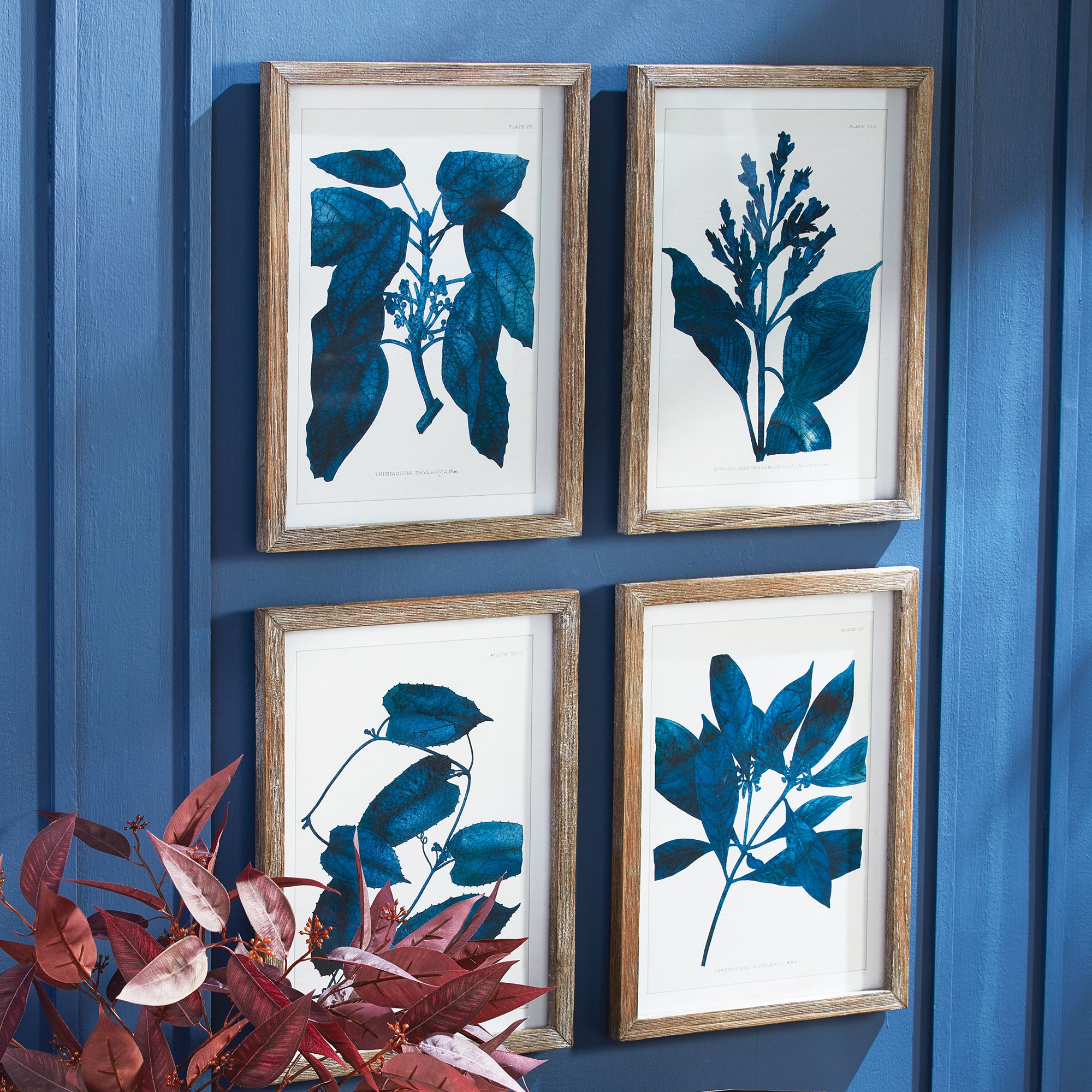 INDIGO BOTANICALS, SET OF 4 - view 3