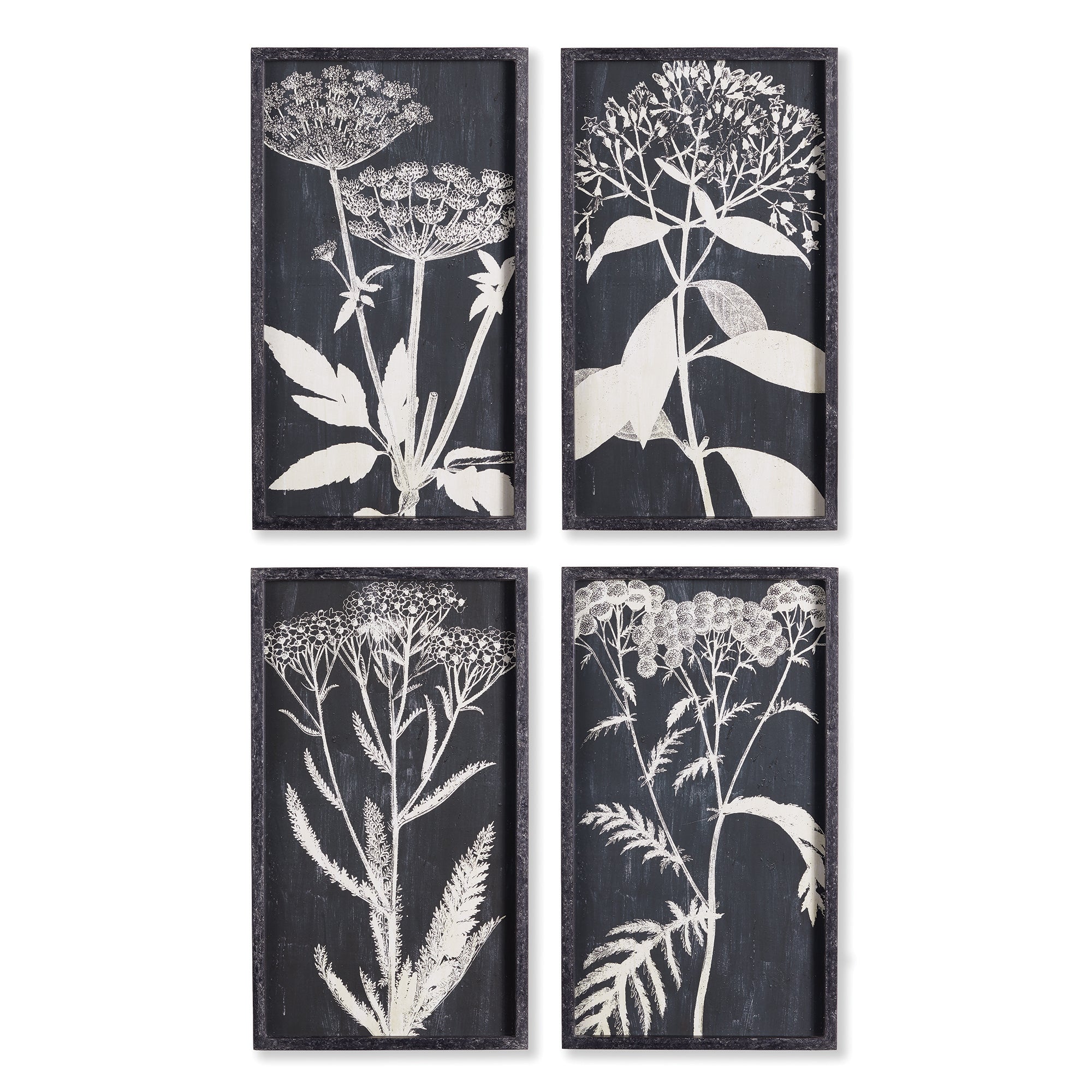 MONOCHROME QUEEN ANNE'S LACE PRINTS, SET OF 4