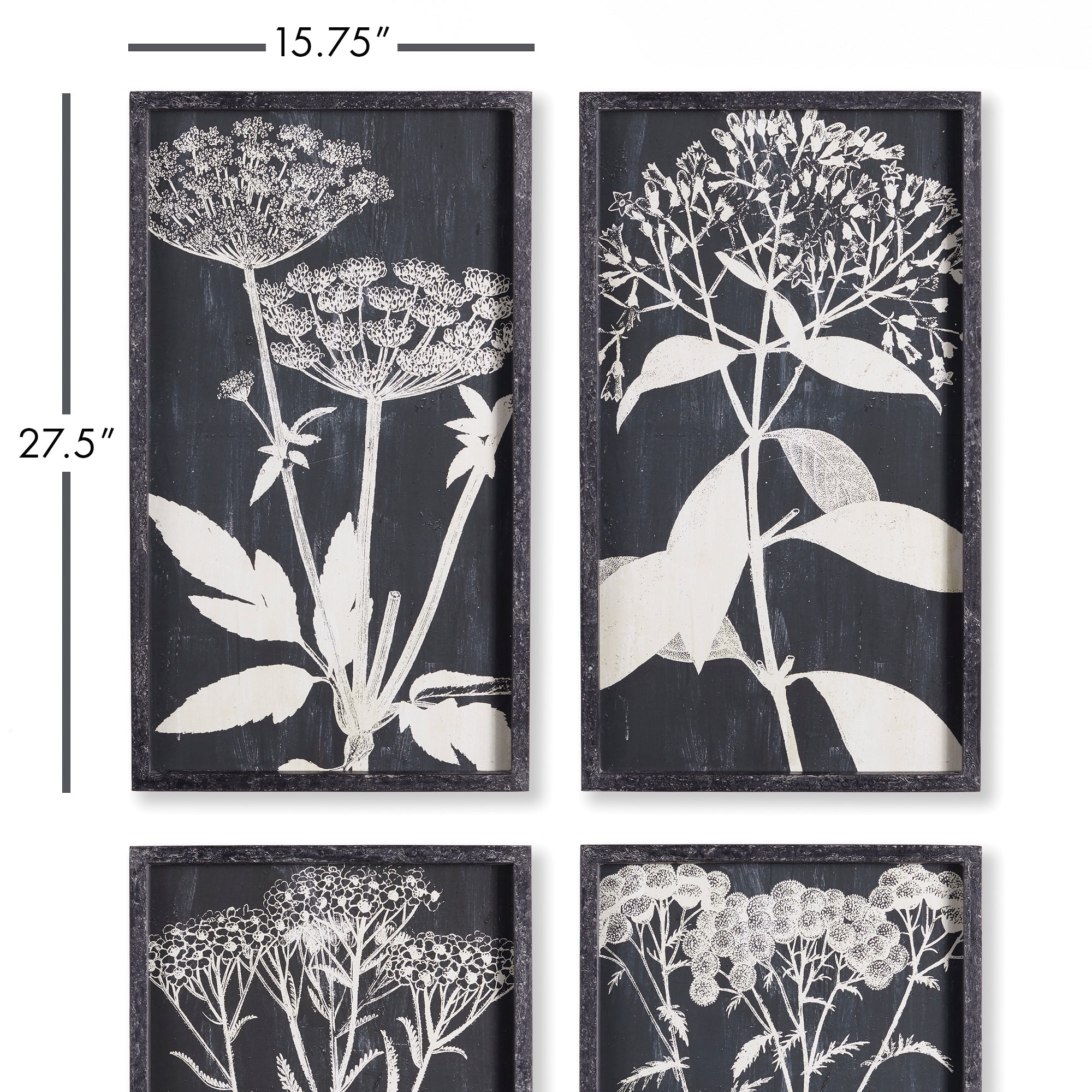 MONOCHROME QUEEN ANNE'S LACE PRINTS, SET OF 4 - view 2