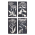 MONOCHROME QUEEN ANNE'S LACE PRINTS, SET OF 4