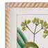 MEADOW BOTANICAL STUDY, SET OF 4 - view 4