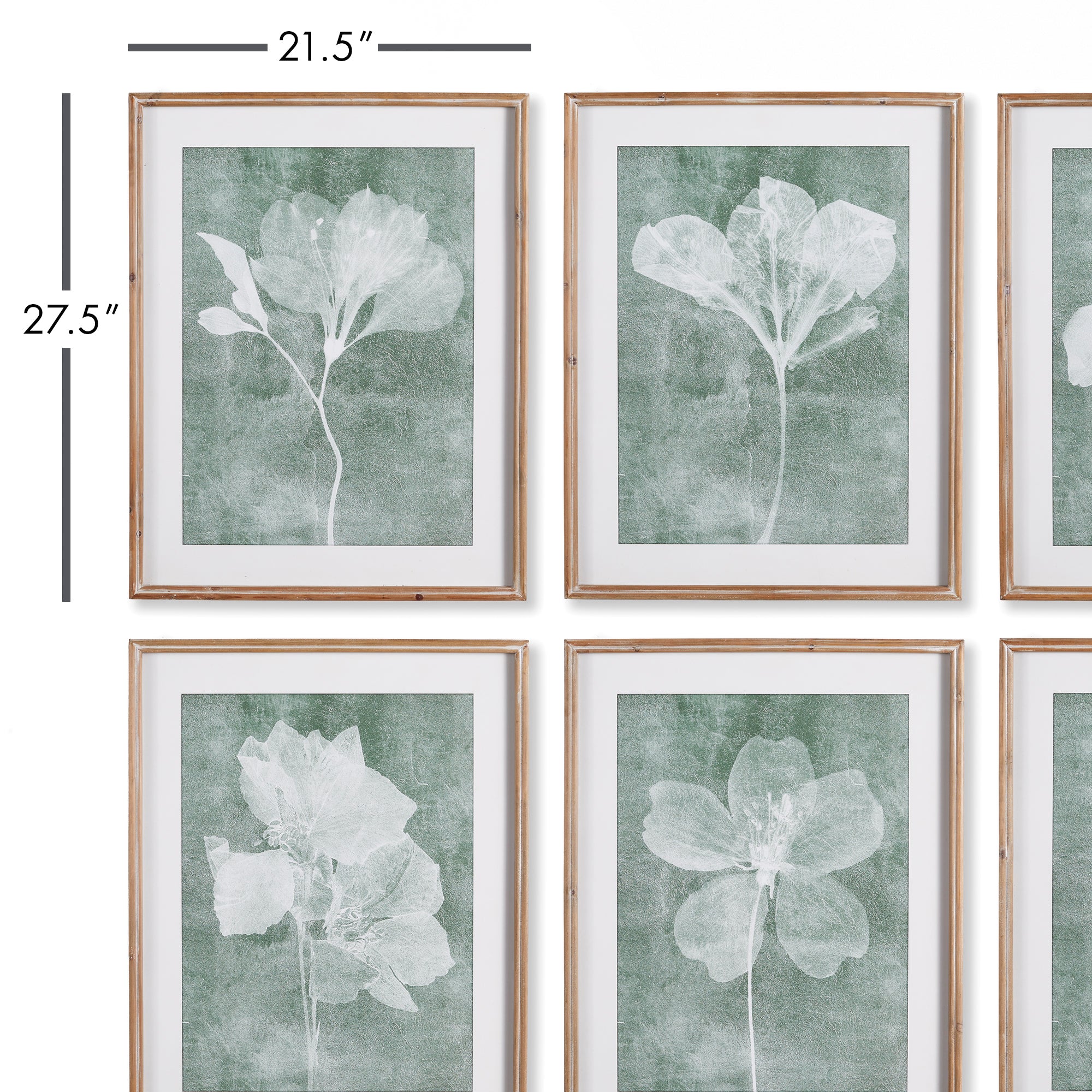 Translucent Floral Prints, Set Of 6 - View 2
