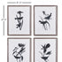 BIRD SILHOUETTE PRINTS, SET OF 4 - view 2