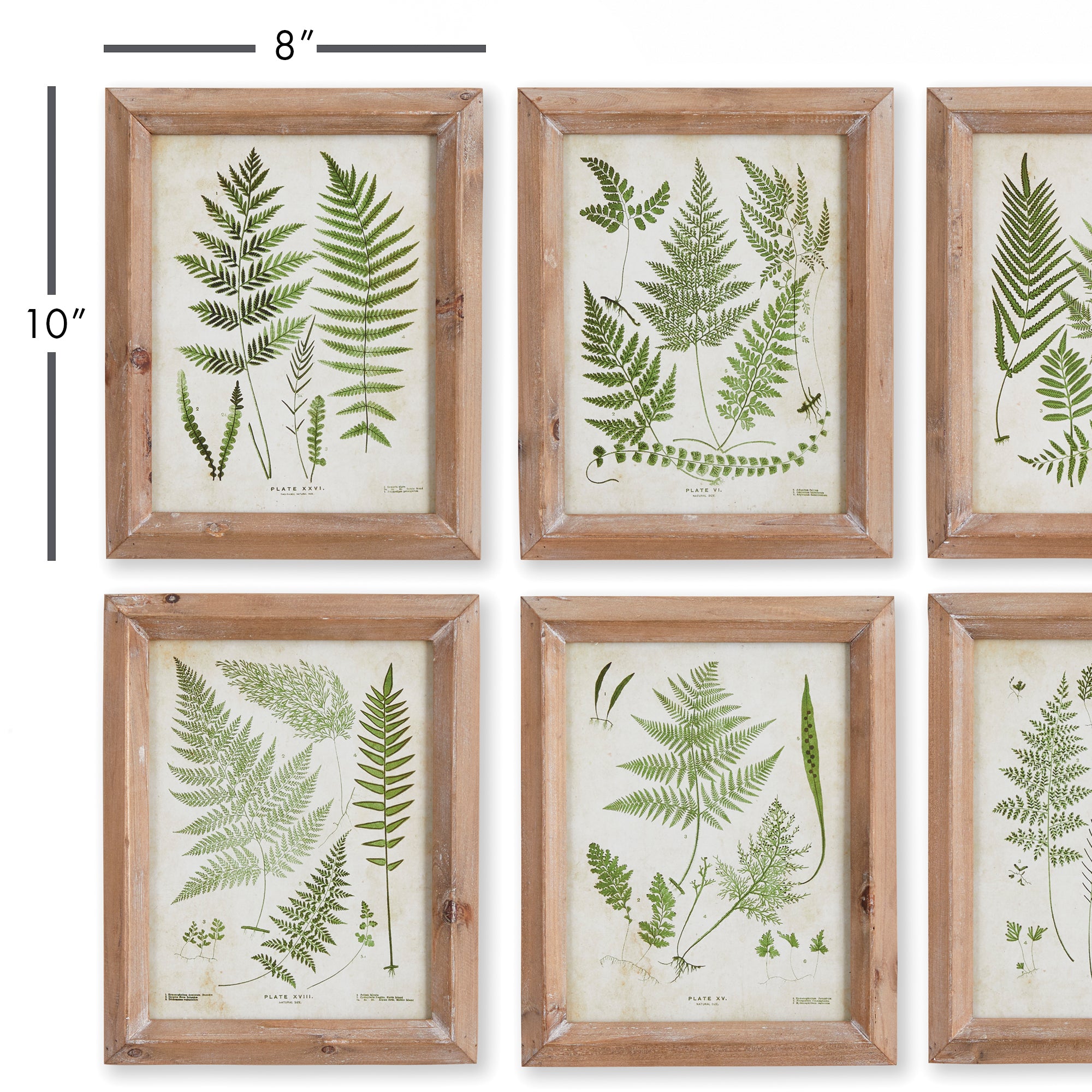 Forest Greenery Prints, Set Of 6 - View 2