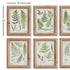 Forest Greenery Prints, Set Of 6 - View 2